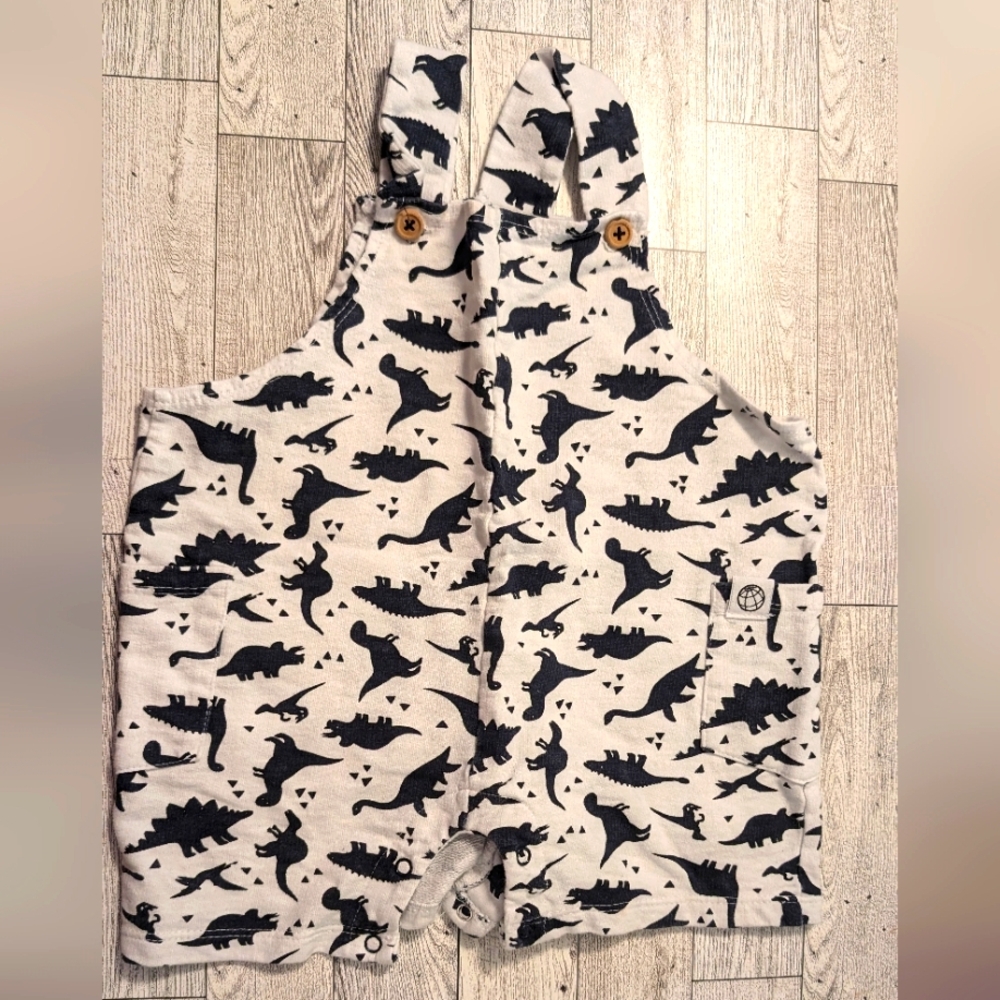 Dinosaur Free Planet Overalls